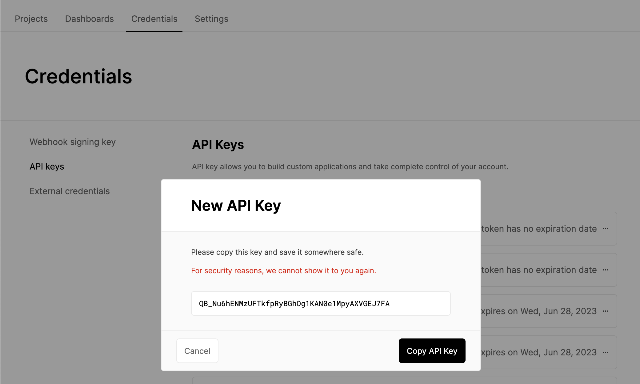 Copy API Key